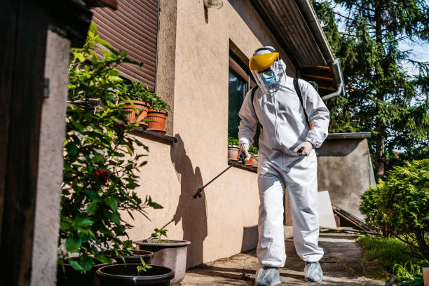 Best Insect Control  in Springfield, SD