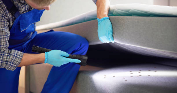Best Pest Removal Services  in Springfield, SD