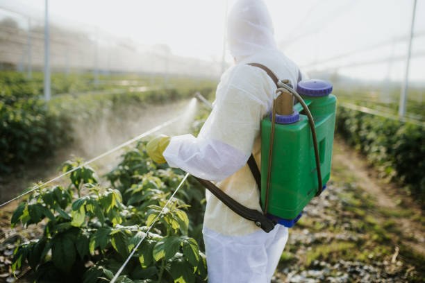 Trusted Springfield, SD Pest Control Experts